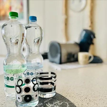 Appartement Inmitten Des Dorflebens - Rheinfelden-nollingen